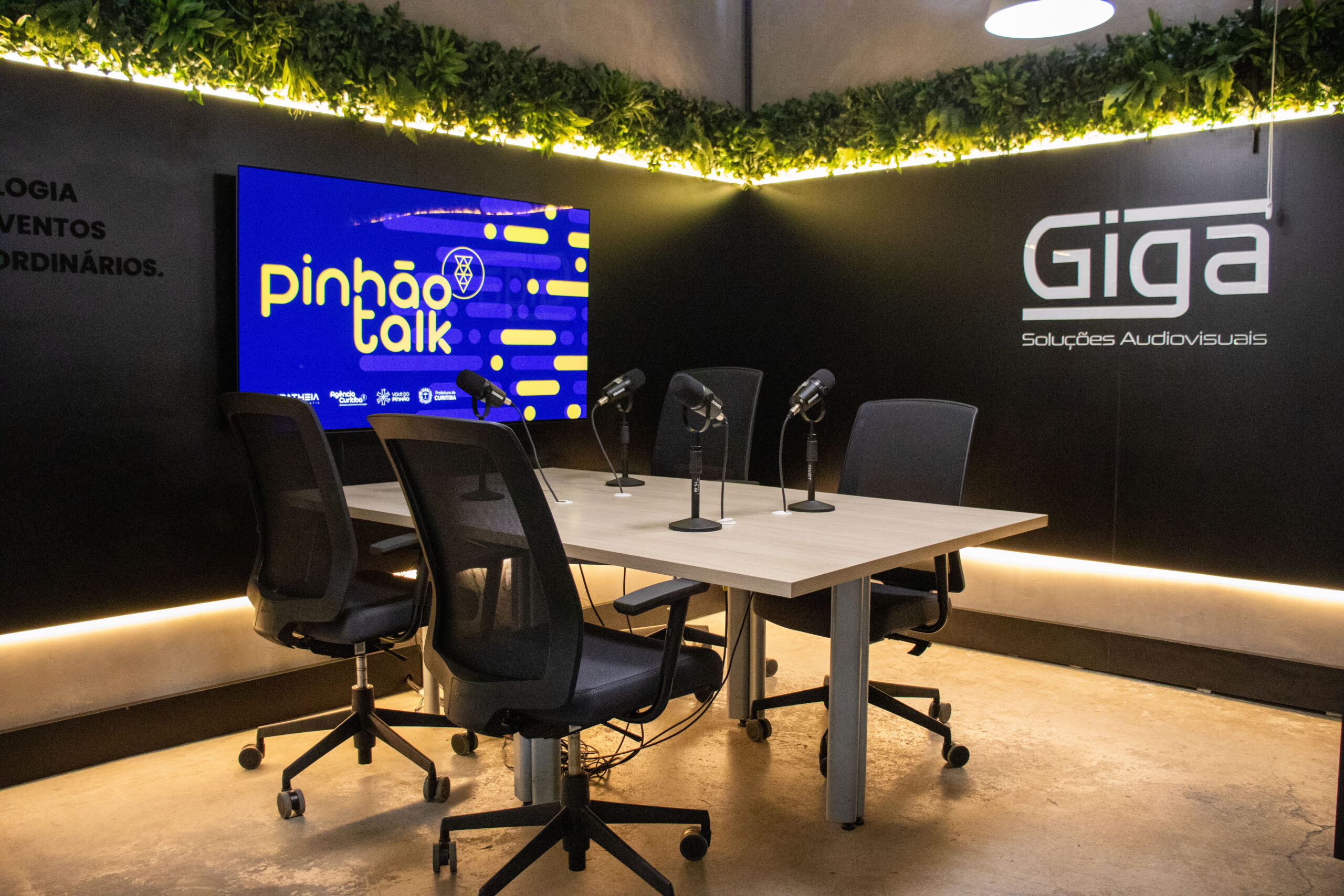 Pinhão Talk